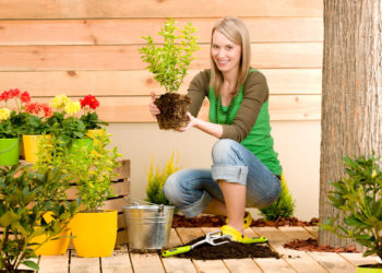 Pon en práctica estos tips para cuidar el jardín de tu casa