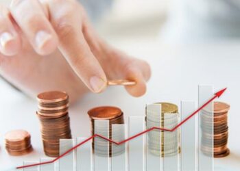 perfil de inversionista